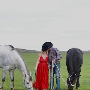 Red Sleeveless Dress